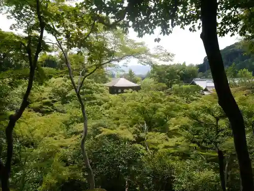 慈照寺（慈照禅寺・銀閣寺）の庭園