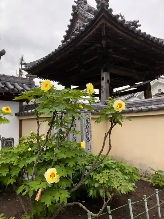 真言宗 善通寺派 薬王寺(香川県)