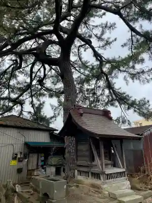 第六天神社の{uncategorized: "未分類", other: "その他", undefined: "問題あり", building: "その他建物", grave: "お墓", sacred_gate: "鳥居", guardian: "狛犬", statue: "像", buddha: "仏像", history: "歴史", nature: "自然", garden: "庭園", animal: "動物", pagoda: "塔", temizu: "手水舎", mountain_gate: "山門・神門", sanctuary: "本殿・本堂", subordinate: "末社・摂社", art: "芸術", scenery: "景色", jizo: "地蔵", ema: "絵馬", goshuin: "御朱印", omikuji: "おみくじ", items: "授与品その他", amulet: "お守り", goshuincho: "御朱印帳", eats: "食事", festival: "お祭り", votive_dance: "神楽", shichigosan: "七五三参", wedding: "結婚式", experience: "体験その他", initially: "初詣", around: "周辺", anti_infection: "感染症対策"}