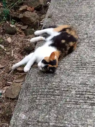 岡寺（龍蓋寺）(奈良県)