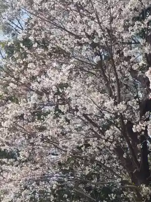 倉見神社(神奈川県)