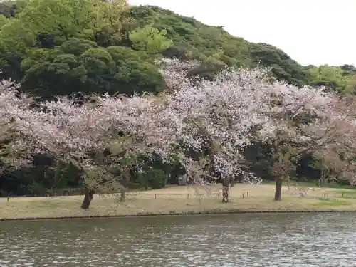 三渓園天満宮の自然