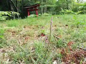 残暑お見舞い申し上げます。
8月も最終日ですが、今年はかなり暑いですね。どうぞご自愛してお過ごしください。
本年も、例年通り10月30日の午前10:00頃から例祭を斎行する予定です。
特に服装の指定等はありませんので、どうぞお気軽にご参拝いただければと思います。
みなさまのご参拝をお待ち申し上げております。