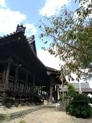 本徳寺の本殿・本堂
