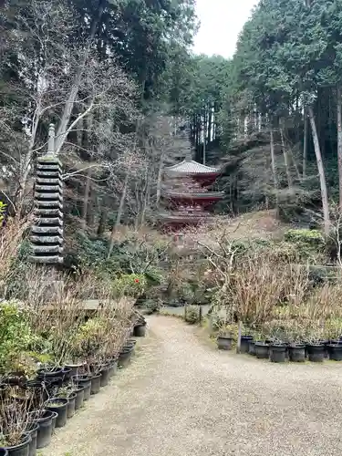 岩船寺(京都府)