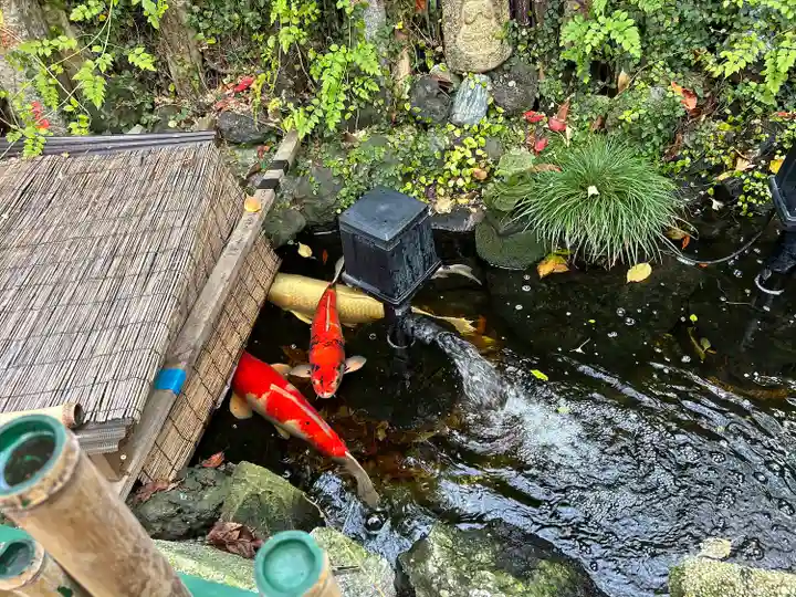 吉原弁財天本宮(吉原神社奥宮)の動物