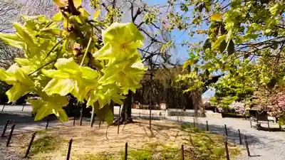 大報恩寺（千本釈迦堂）(京都府)
