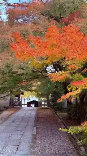 養源院(京都府)
