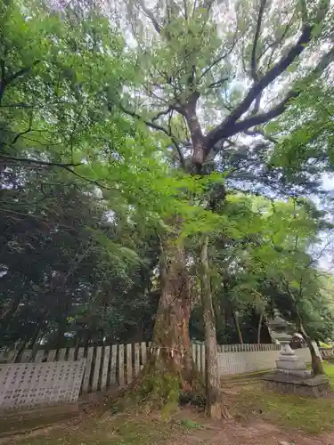 石岡神社(愛媛県)