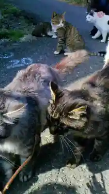 美與利大明神の動物