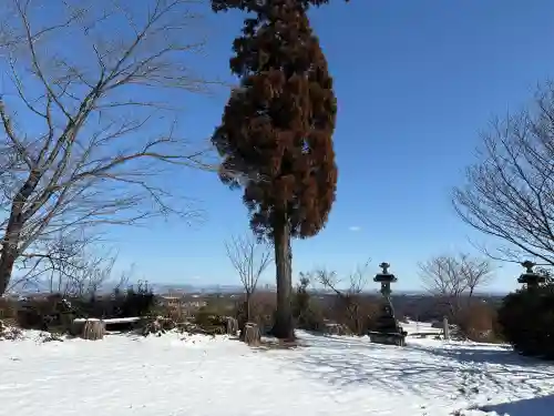 四津山神社の{uncategorized: "未分類", other: "その他", undefined: "問題あり", building: "その他建物", grave: "お墓", sacred_gate: "鳥居", guardian: "狛犬", statue: "像", buddha: "仏像", history: "歴史", nature: "自然", garden: "庭園", animal: "動物", pagoda: "塔", temizu: "手水舎", mountain_gate: "山門・神門", sanctuary: "本殿・本堂", subordinate: "末社・摂社", art: "芸術", scenery: "景色", jizo: "地蔵", ema: "絵馬", goshuin: "御朱印", omikuji: "おみくじ", items: "授与品その他", amulet: "お守り", goshuincho: "御朱印帳", eats: "食事", festival: "お祭り", votive_dance: "神楽", shichigosan: "七五三参", wedding: "結婚式", experience: "体験その他", initially: "初詣", around: "周辺", anti_infection: "感染症対策"}