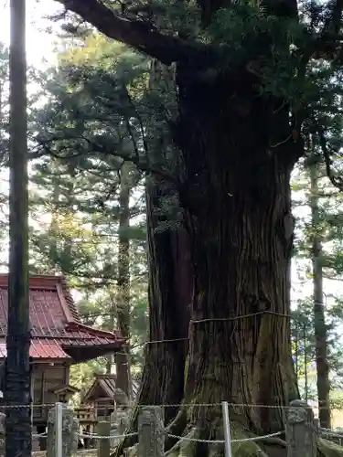 塩原八幡宮の自然