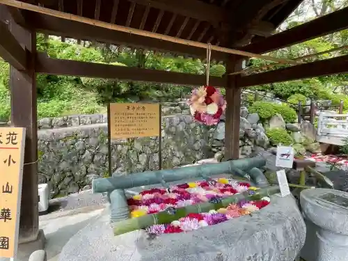 岡寺（龍蓋寺）の{uncategorized: "未分類", other: "その他", undefined: "問題あり", building: "その他建物", grave: "お墓", sacred_gate: "鳥居", guardian: "狛犬", statue: "像", buddha: "仏像", history: "歴史", nature: "自然", garden: "庭園", animal: "動物", pagoda: "塔", temizu: "手水舎", mountain_gate: "山門・神門", sanctuary: "本殿・本堂", subordinate: "末社・摂社", art: "芸術", scenery: "景色", jizo: "地蔵", ema: "絵馬", goshuin: "御朱印", omikuji: "おみくじ", items: "授与品その他", amulet: "お守り", goshuincho: "御朱印帳", eats: "食事", festival: "お祭り", votive_dance: "神楽", shichigosan: "七五三参", wedding: "結婚式", experience: "体験その他", initially: "初詣", around: "周辺", anti_infection: "感染症対策"}