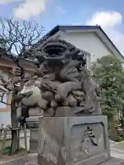 穏田神社の狛犬