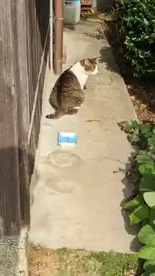 乗願寺(京都府)