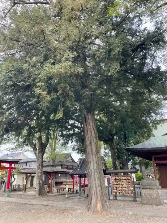 本宿天神社の{uncategorized: "未分類", other: "その他", undefined: "問題あり", building: "その他建物", grave: "お墓", sacred_gate: "鳥居", guardian: "狛犬", statue: "像", buddha: "仏像", history: "歴史", nature: "自然", garden: "庭園", animal: "動物", pagoda: "塔", temizu: "手水舎", mountain_gate: "山門・神門", sanctuary: "本殿・本堂", subordinate: "末社・摂社", art: "芸術", scenery: "景色", jizo: "地蔵", ema: "絵馬", goshuin: "御朱印", omikuji: "おみくじ", items: "授与品その他", amulet: "お守り", goshuincho: "御朱印帳", eats: "食事", festival: "お祭り", votive_dance: "神楽", shichigosan: "七五三参", wedding: "結婚式", experience: "体験その他", initially: "初詣", around: "周辺", anti_infection: "感染症対策"}