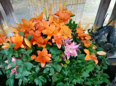 彌彦神社　(伊夜日子神社)の手水舎