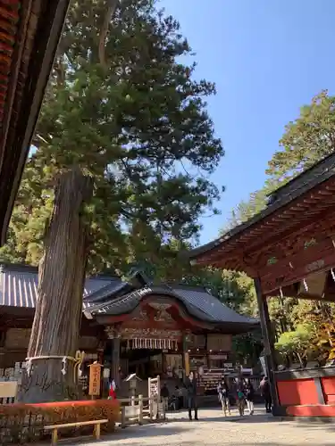 北口本宮冨士浅間神社の本殿