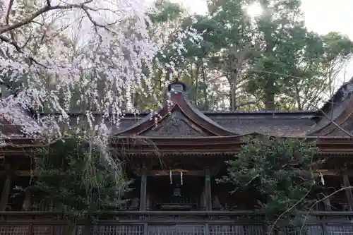 吉野水分神社（吉野町）の本殿・本堂