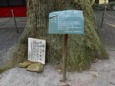住吉神社(鹿児島県)