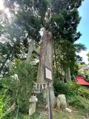 熊野那智神社(宮城県)