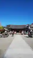 浅草神社の本殿・本堂