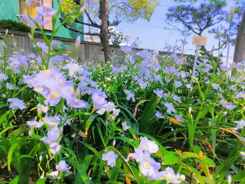 神明社（高畑神明社）の自然