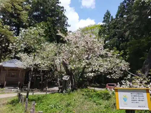 磐椅神社の自然