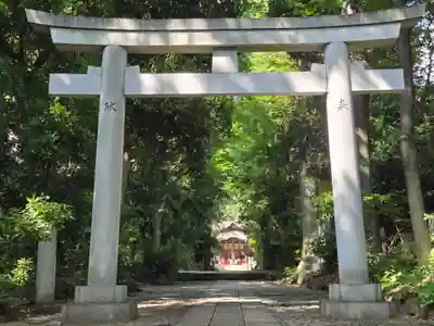 代々木八幡宮の鳥居