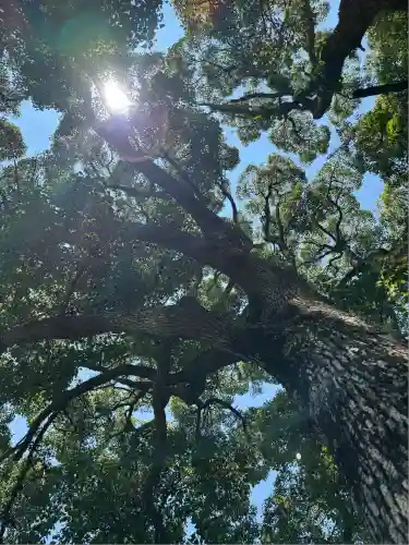 サムハラ神社 奥の宮(岡山県)