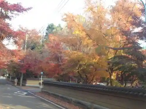 宝珠山　観泉寺の周辺