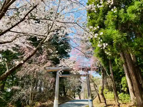 土津神社｜こどもと出世の神さまの鳥居