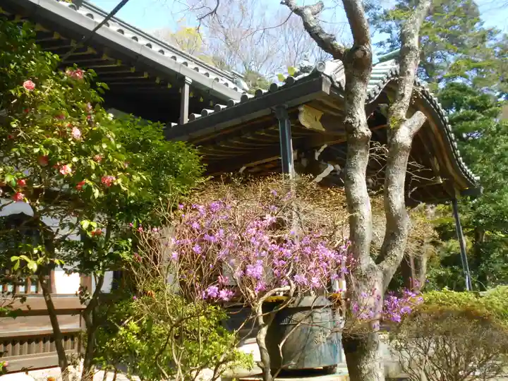 妙本寺の本殿・本堂