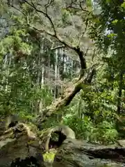 白山神社の自然