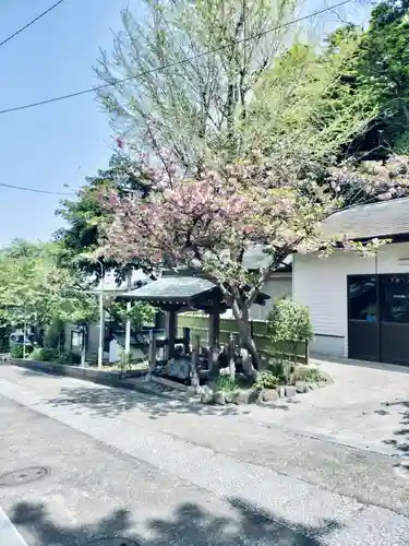 小動神社(神奈川県)