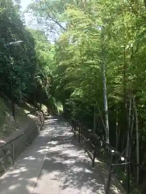 大船観音寺(神奈川県)