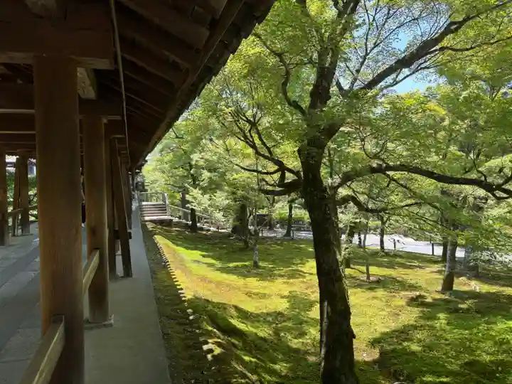 東福禅寺(東福寺)(京都府)