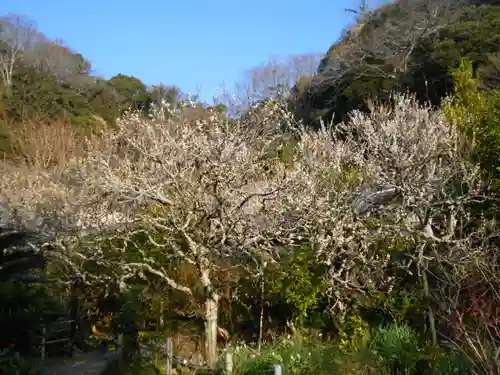 光則寺の庭園