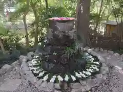 武蔵一宮氷川神社の自然