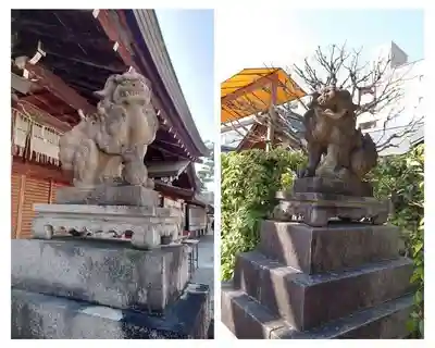 京都ゑびす神社(京都府)