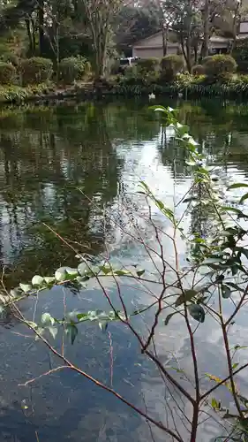 富士山本宮浅間大社の庭園