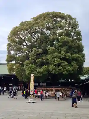 明治神宮(東京都)