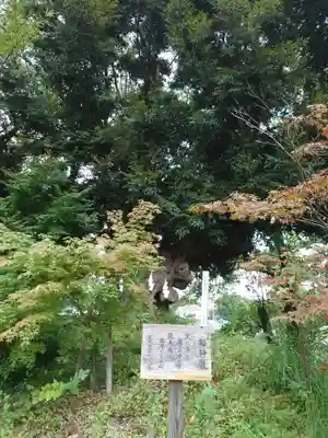 高森神社のその他建物