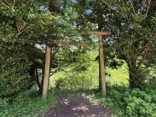 幣立神宮の{uncategorized: "未分類", other: "その他", undefined: "問題あり", building: "その他建物", grave: "お墓", sacred_gate: "鳥居", guardian: "狛犬", statue: "像", buddha: "仏像", history: "歴史", nature: "自然", garden: "庭園", animal: "動物", pagoda: "塔", temizu: "手水舎", mountain_gate: "山門・神門", sanctuary: "本殿・本堂", subordinate: "末社・摂社", art: "芸術", scenery: "景色", jizo: "地蔵", ema: "絵馬", goshuin: "御朱印", omikuji: "おみくじ", items: "授与品その他", amulet: "お守り", goshuincho: "御朱印帳", eats: "食事", festival: "お祭り", votive_dance: "神楽", shichigosan: "七五三参", wedding: "結婚式", experience: "体験その他", initially: "初詣", around: "周辺", anti_infection: "感染症対策"}