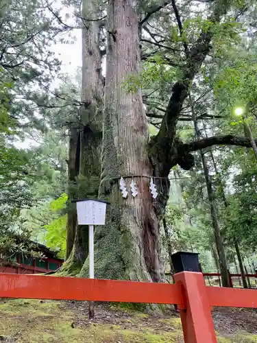 日光二荒山神社(栃木県)