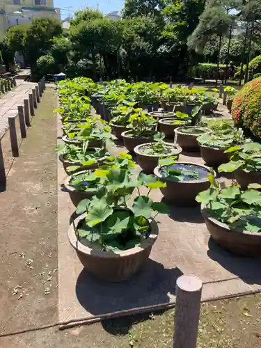 円乗院(東京都)