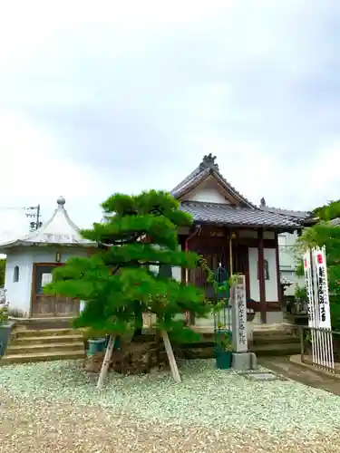 智照院の本殿・本堂