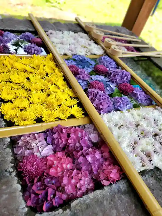 土津神社|こどもと出世の神さま(福島県)