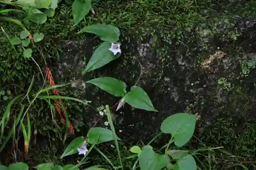 三春大神宮の自然