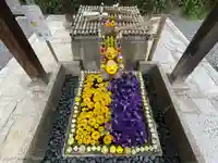 くろ谷 金戒光明寺の手水舎